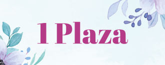 1 Plaza en Cyber Nina Herrera